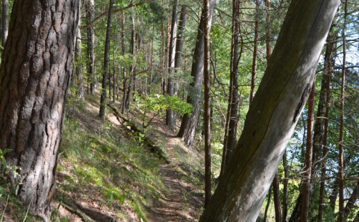 20_Liudgardo šlaitas  (4).jpg